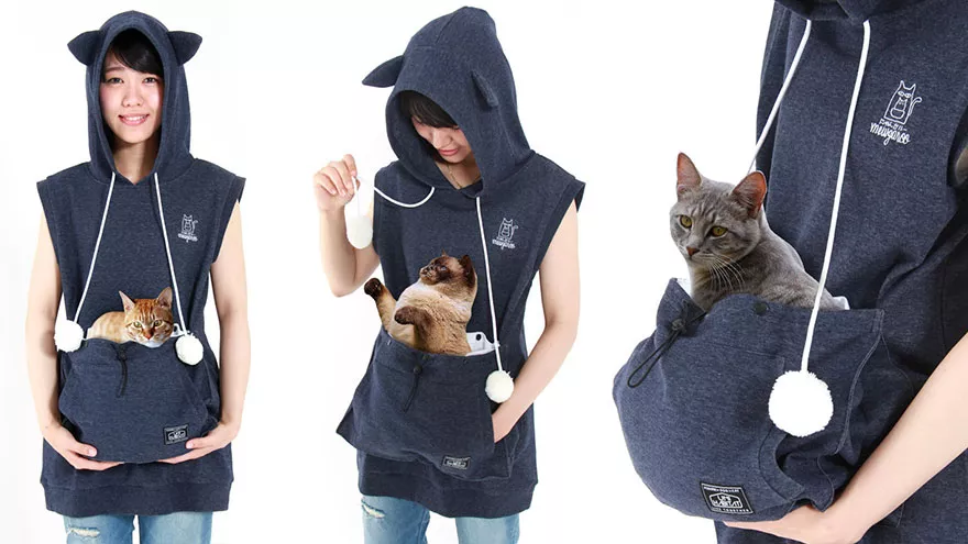 sudadera para llevar gato 