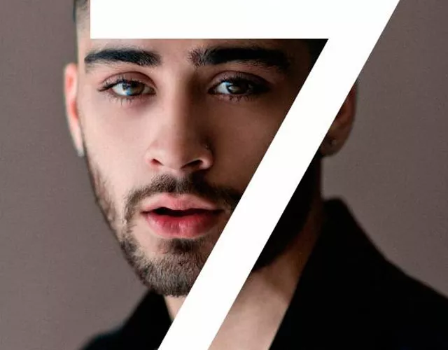 Zayn libro