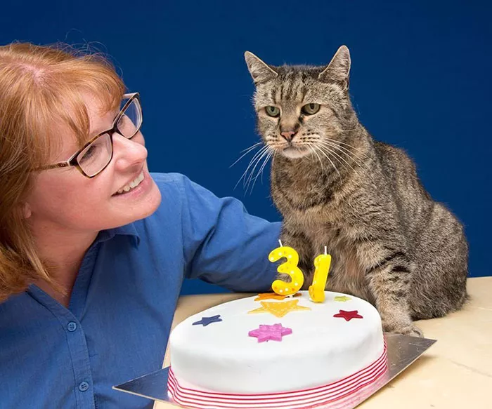 el gato mas viejo del mundo cumpleaños 