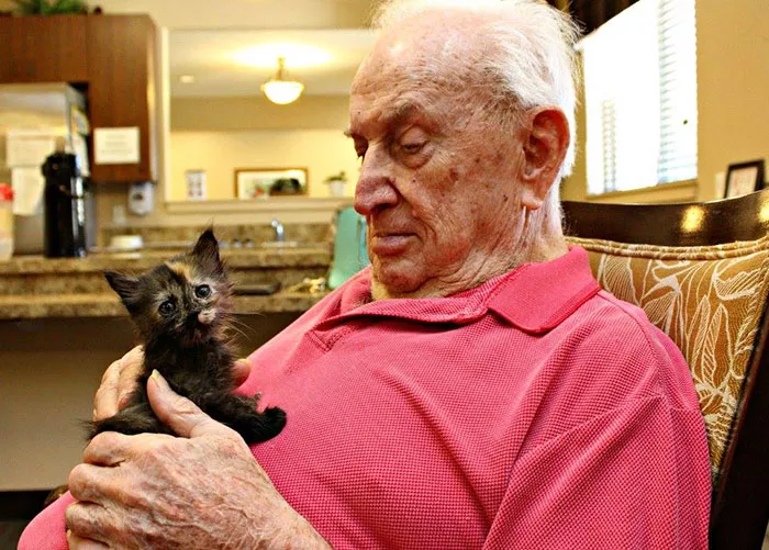 ancianos cuidando de gatitos