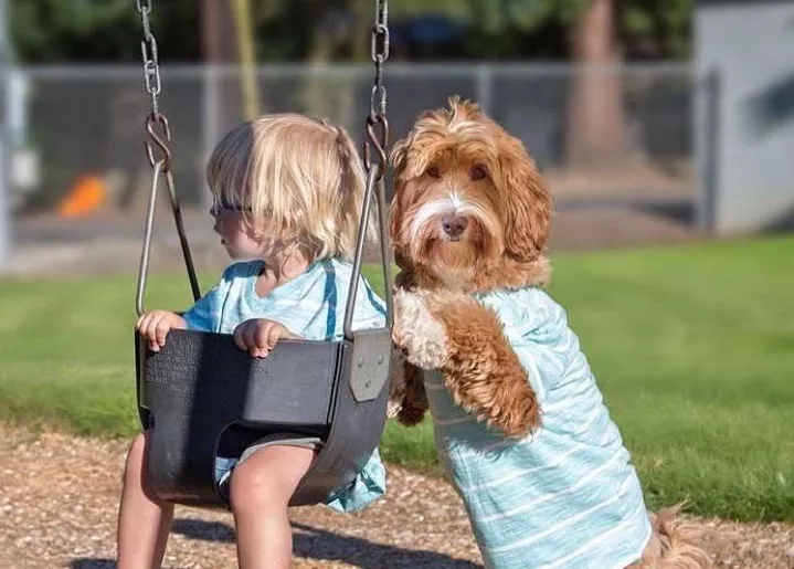 niño y perro calendario 