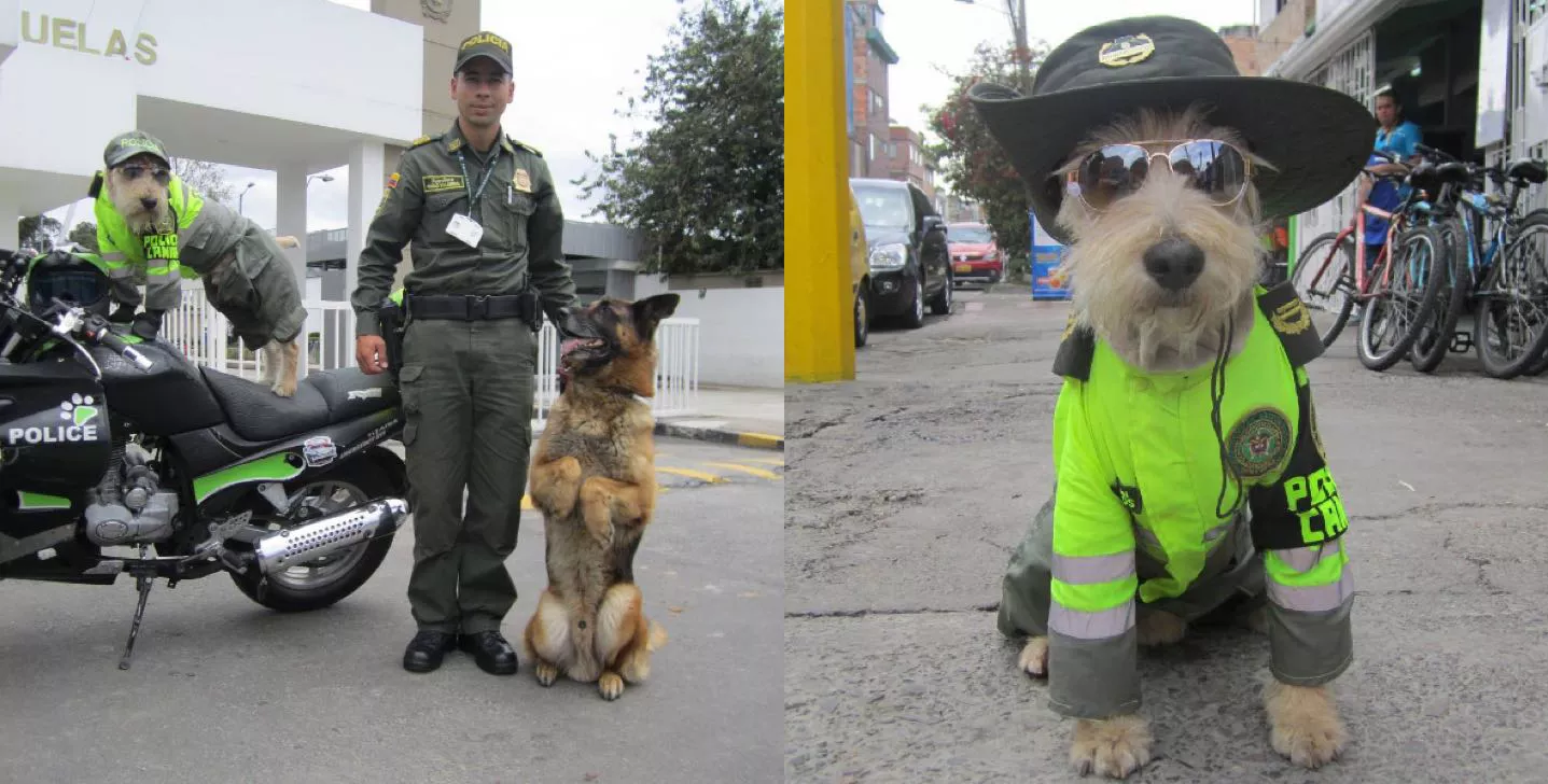 perro policia bogota