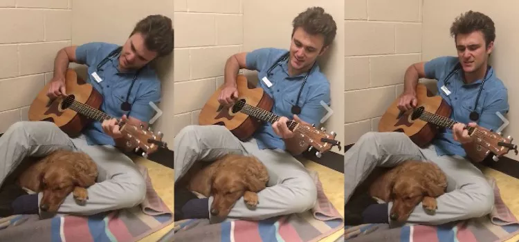 veterinario cantando a un perro 
