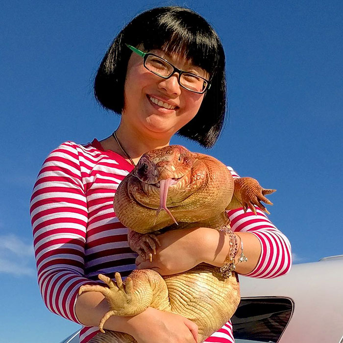 Este lagarto es la nueva mascota favorita en Instagram