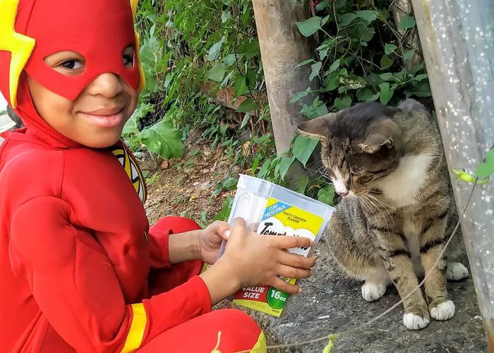 niño superheroe gatos callejeros