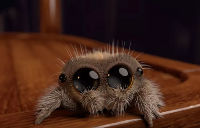 araña adorable