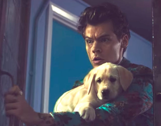 Harry Styles estrena el vídeo de 'Kiwi'