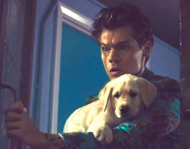 Harry Styles estrena el vídeo de 'Kiwi'