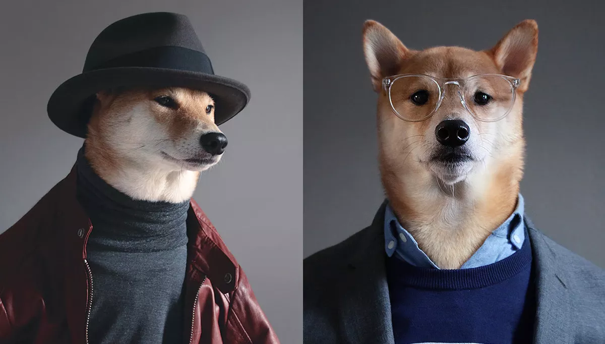 menswear dog perro modelo