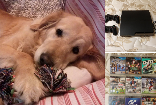 Las redes se vuelcan con el chico que vende su PlayStation para operar a su perra