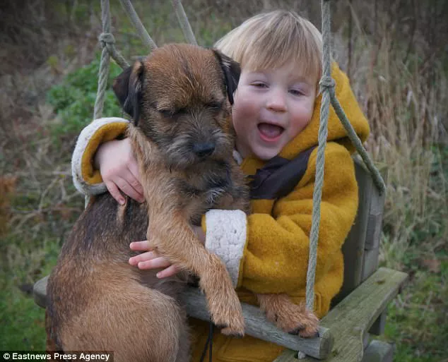 niño se reencuentra con su perro