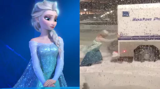 hombre elsa 