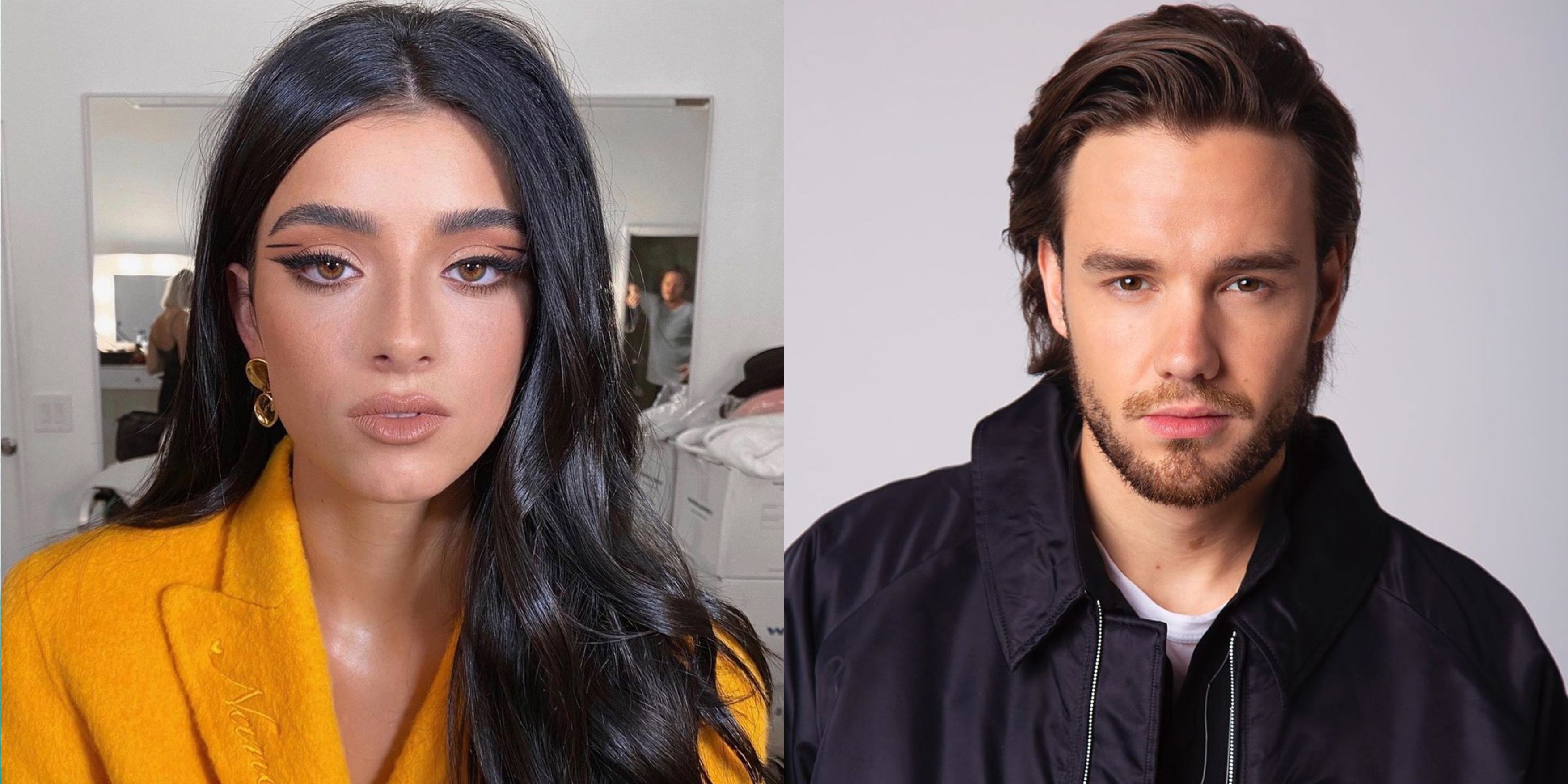 Parece que Dixie D'Amelio podría aparecer en el próximo single de Liam Payne
