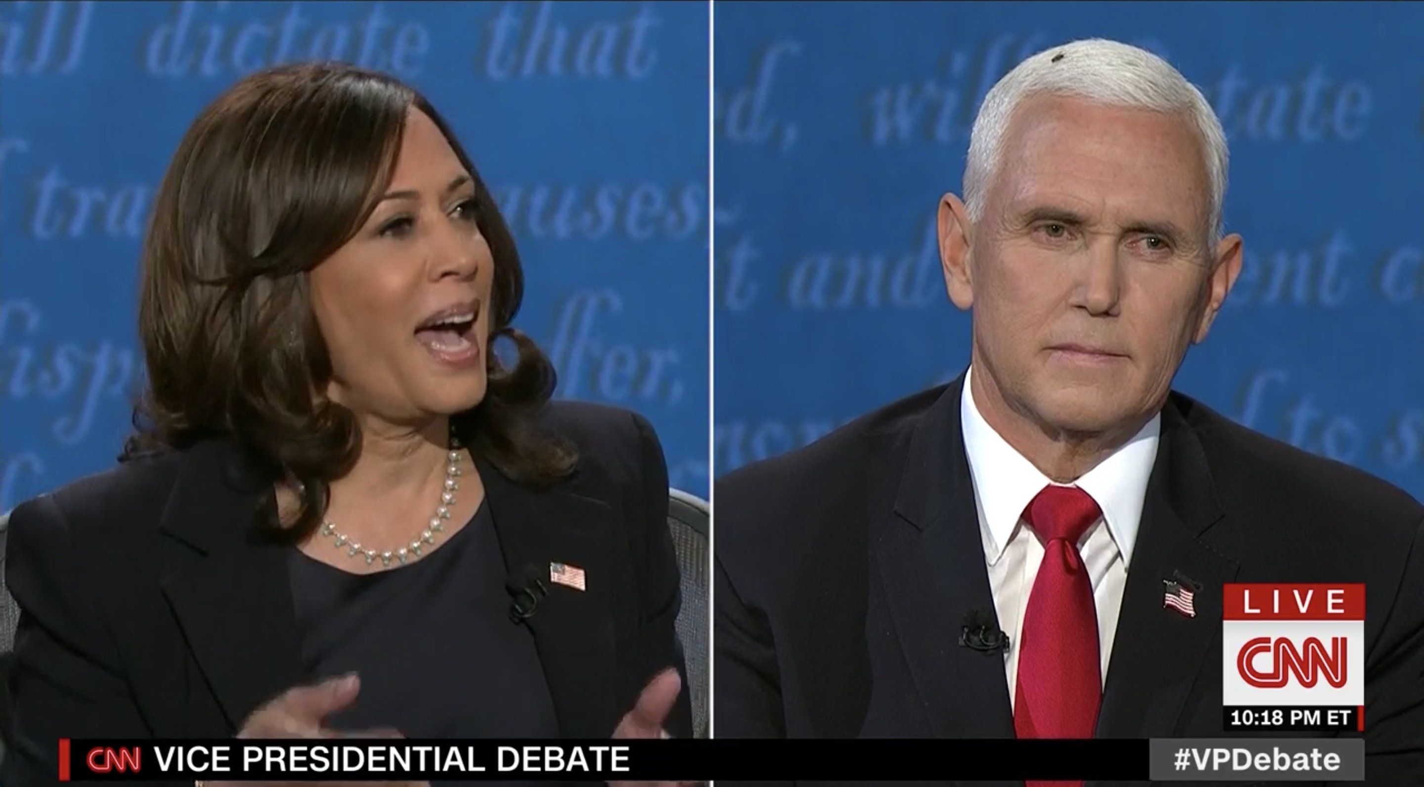 Una mosca aterrizó en la cabeza de Mike Pence durante el debate y los Memes me están enviando