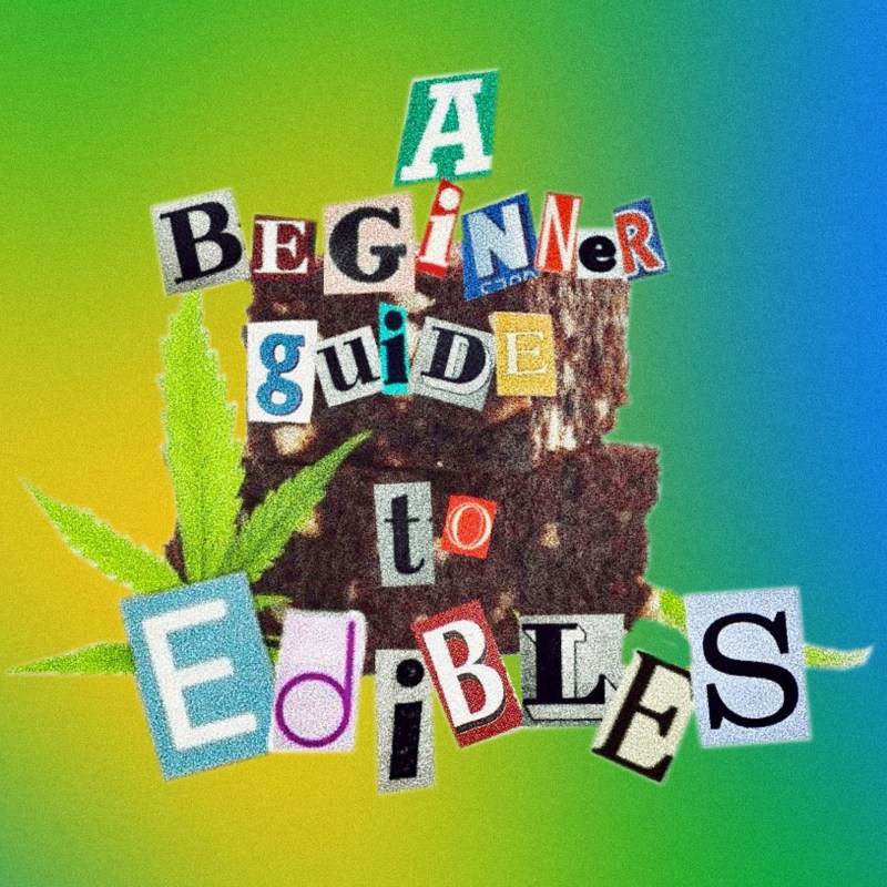Una guía para principiantes para probar alimentos