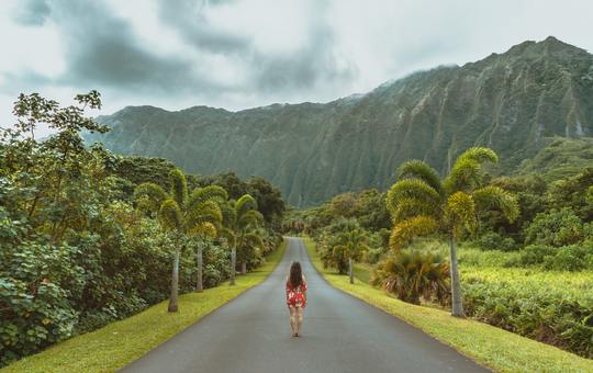 Qué hacer estas vacaciones de verano: 15 ideas divertidas