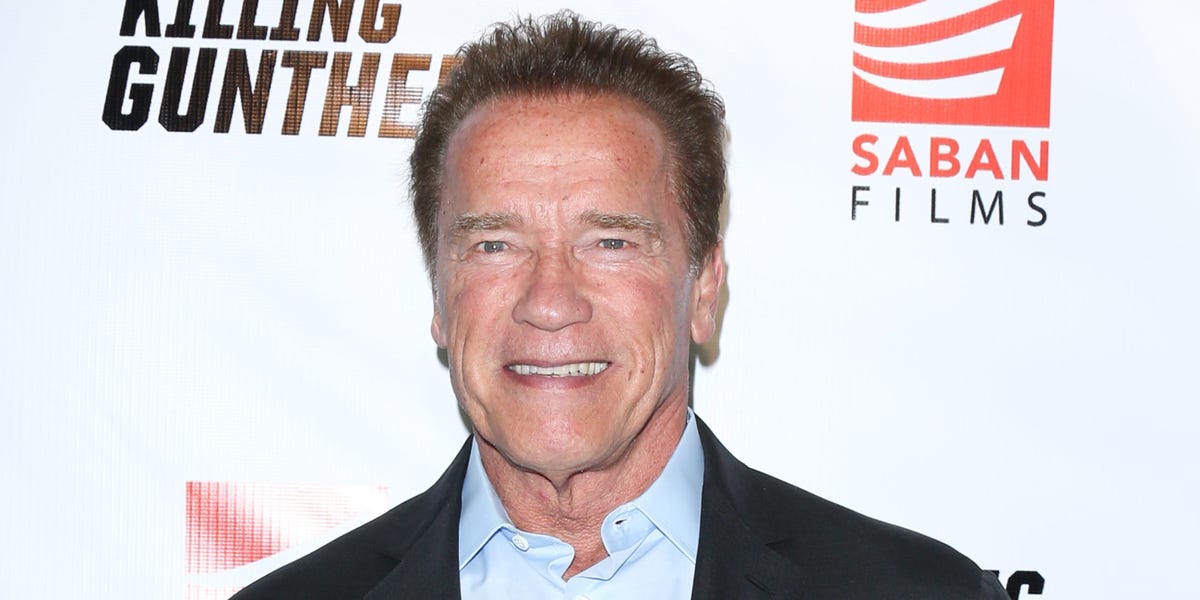 Arnold Schwarzenegger donó 25 casas pequeñas a veteranos sin hogar y a sus mascotas