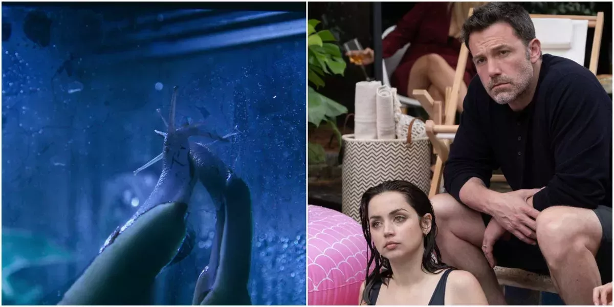 Las cosas más desagradables que sucedieron en 'Deep Water', el nuevo thriller erótico de Ben Affleck, increíblemente poco sexy