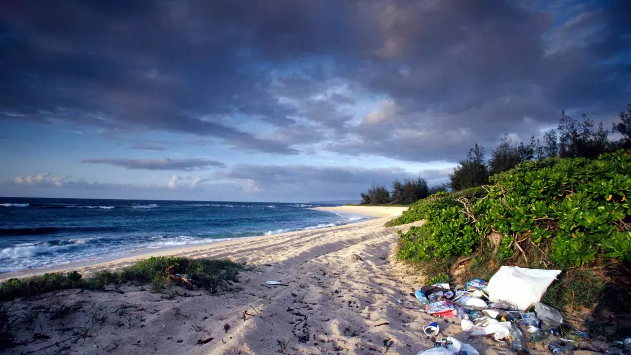 14 adolescentes hawaianos demandan al Estado y al Departamento de Tránsito por la contaminación