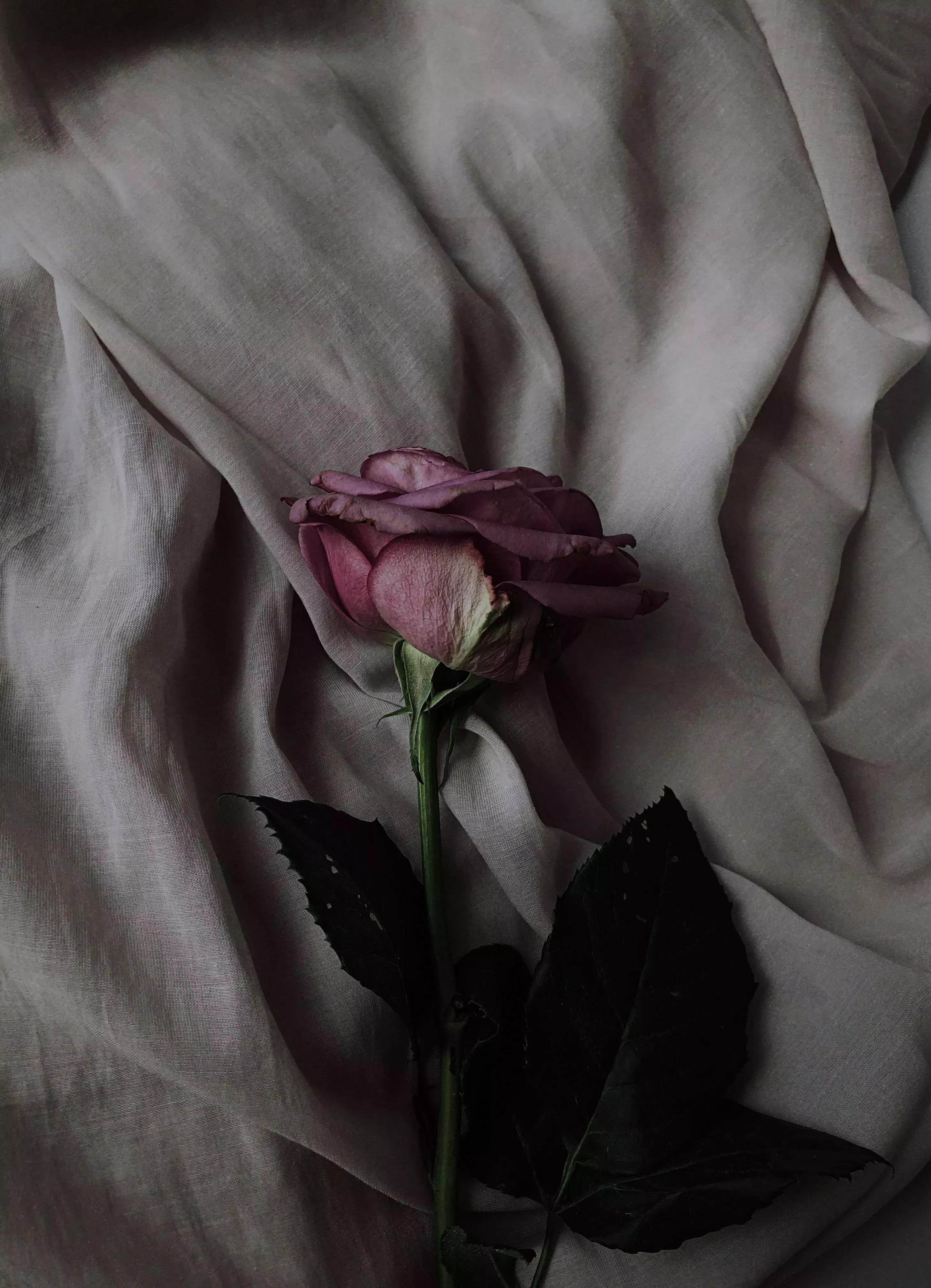 Credo de las flores