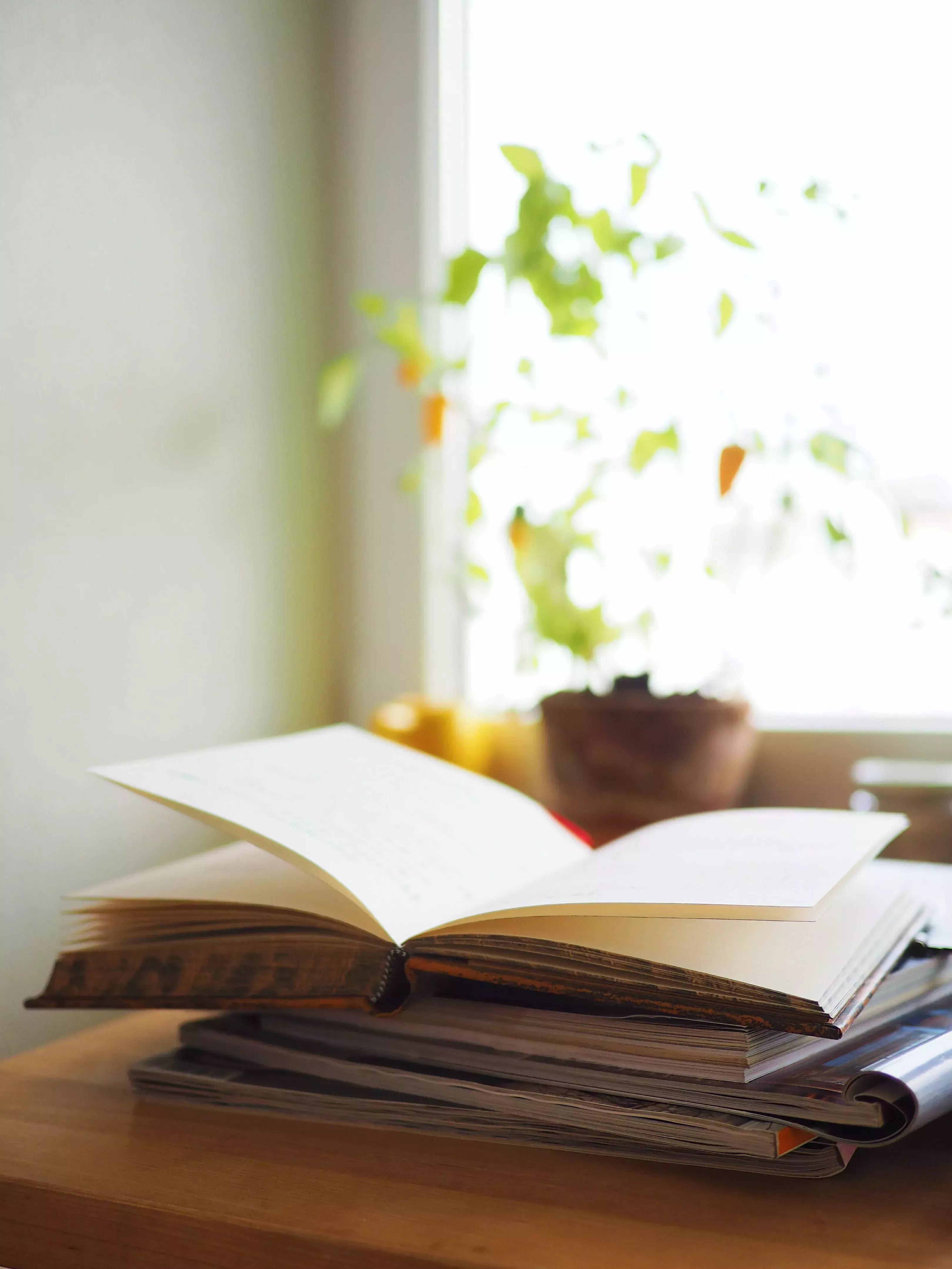 Informe sobre el libro No-no Boy