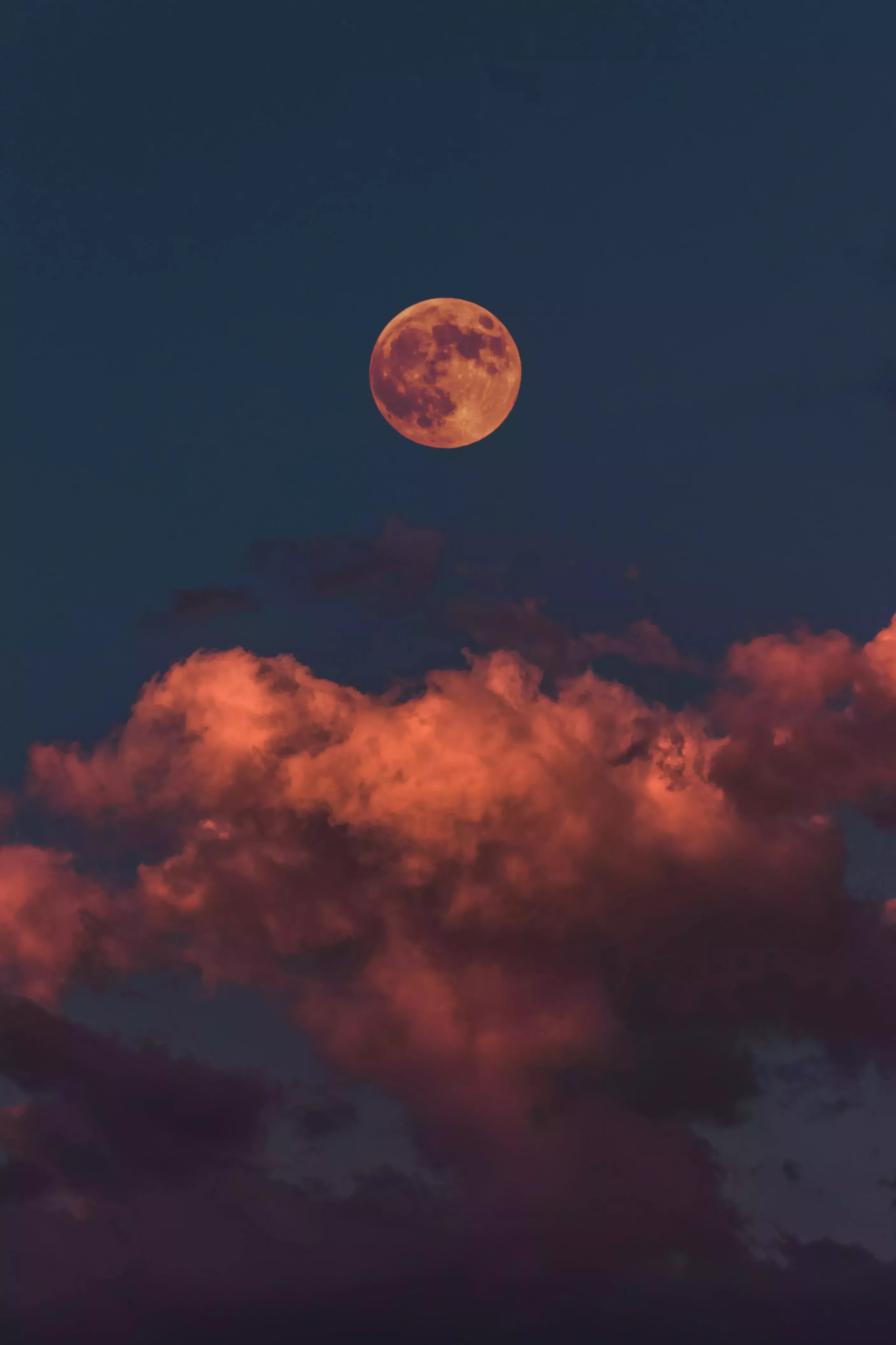 Reseña del libro Daughter of the Moon Goddess
