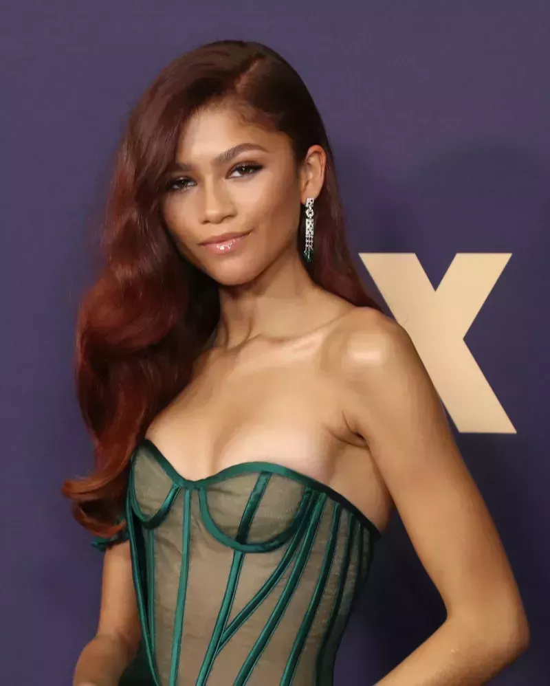 ¡Todos los premios! Desglosando los galardones de Zendaya a lo largo de los años