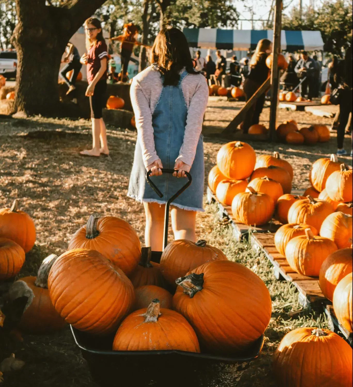 Actividades de otoño para hacer con tus amigos