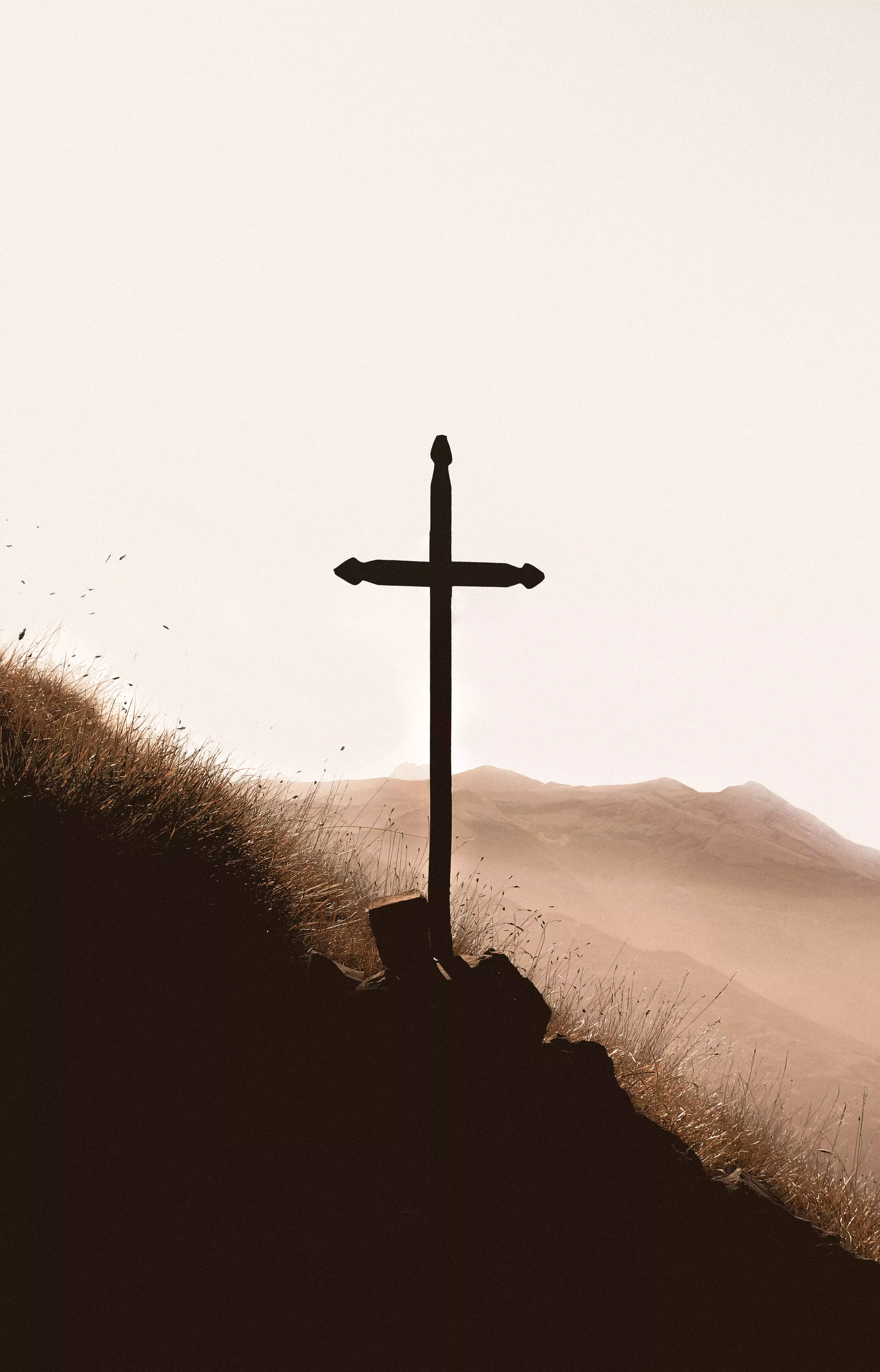 ¿Por qué se odia tanto al cristianismo?