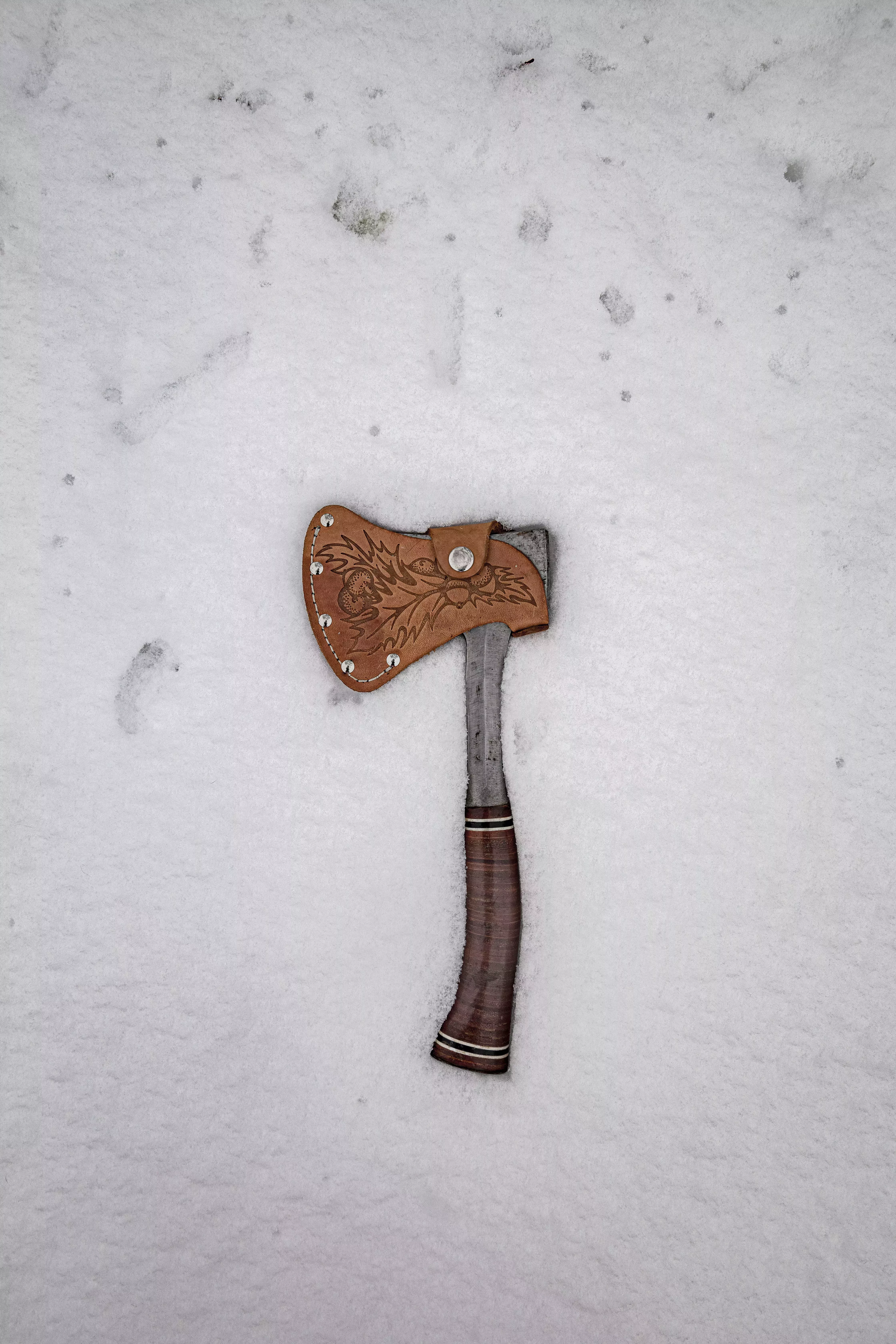 Crítica de Hatchet