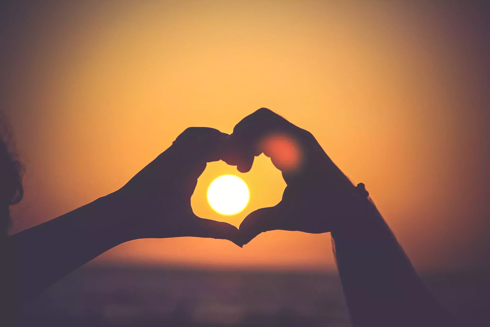 Huesos del corazón: Una novela de amigos, familia y amor