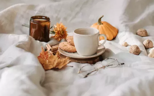 7 deliciosos tés para el otoño
