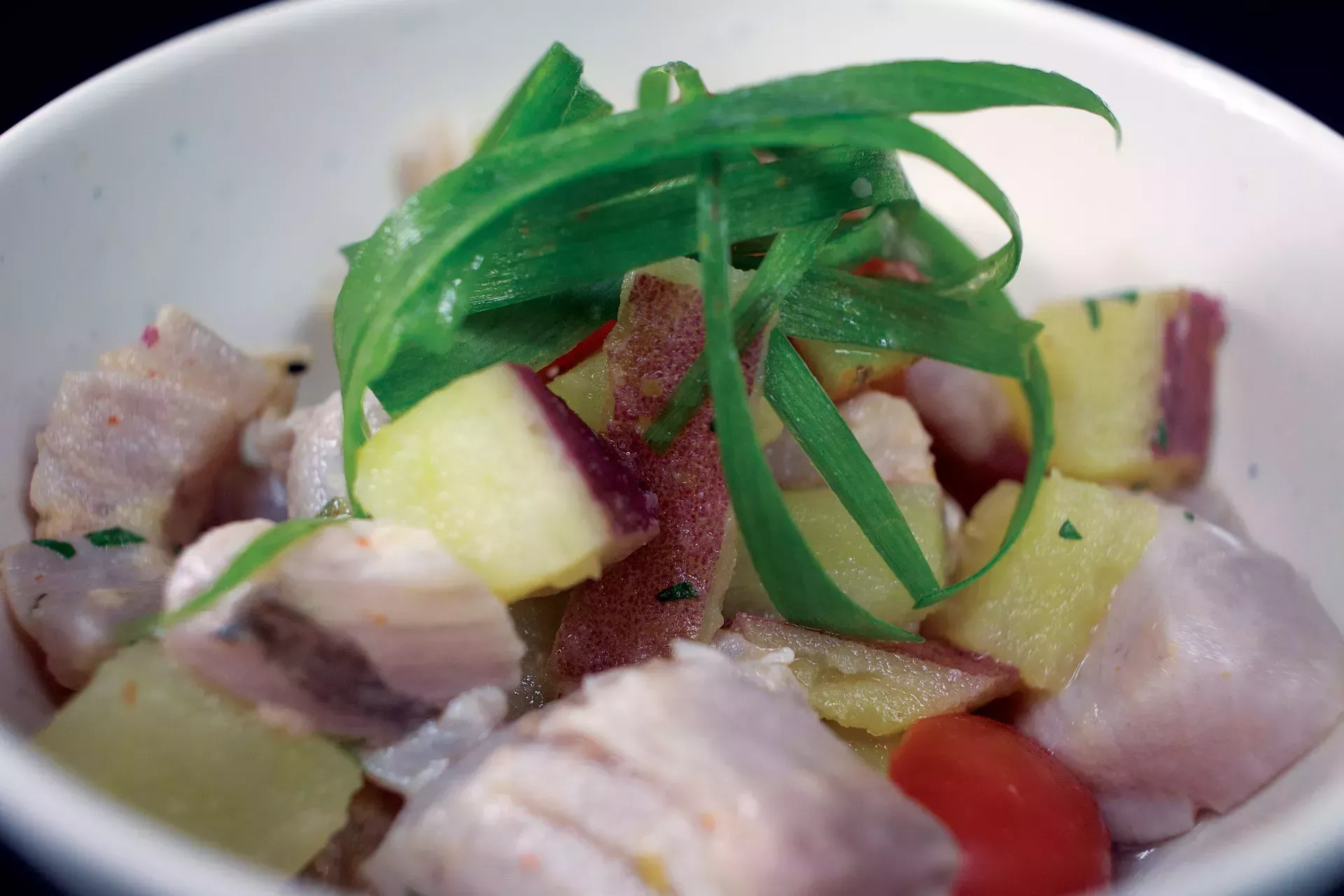 Una pintura de un plato: Ceviche peruano