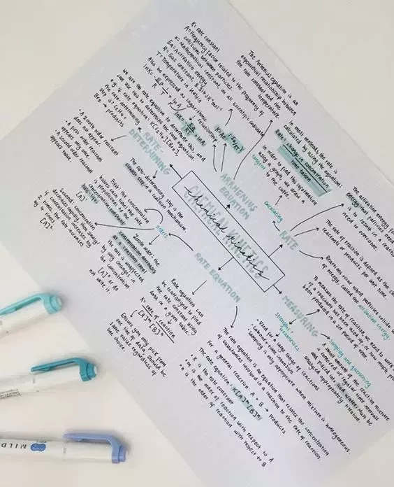 La guía definitiva para sobrevivir al segundo semestre