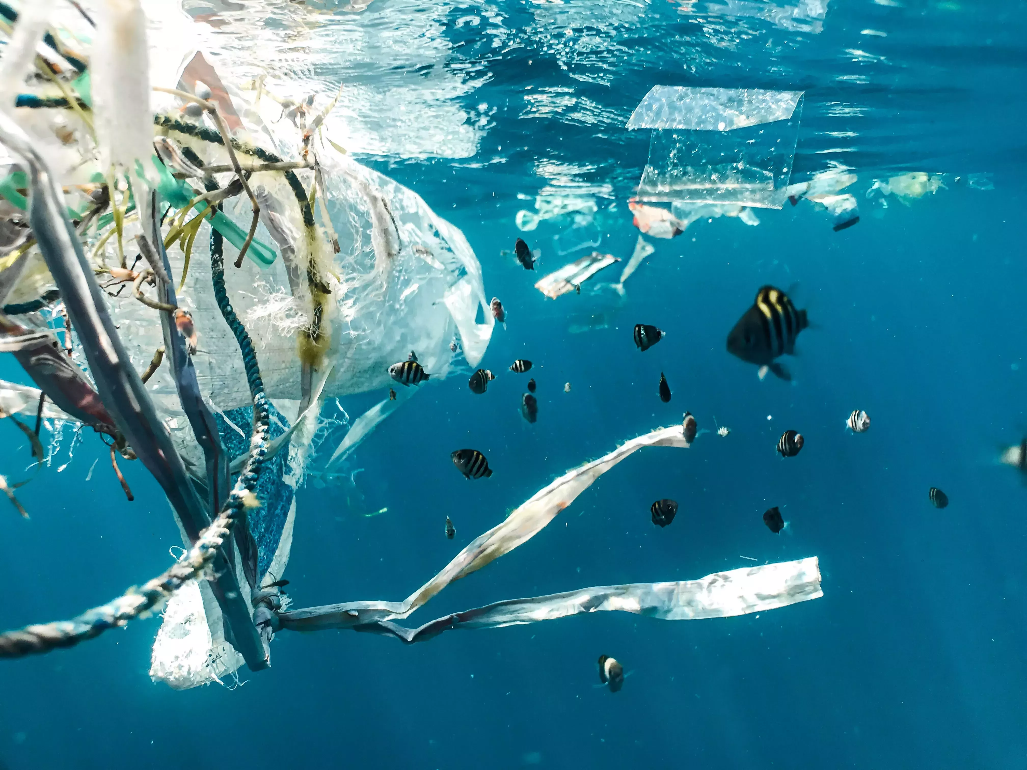 Contaminación del agua 