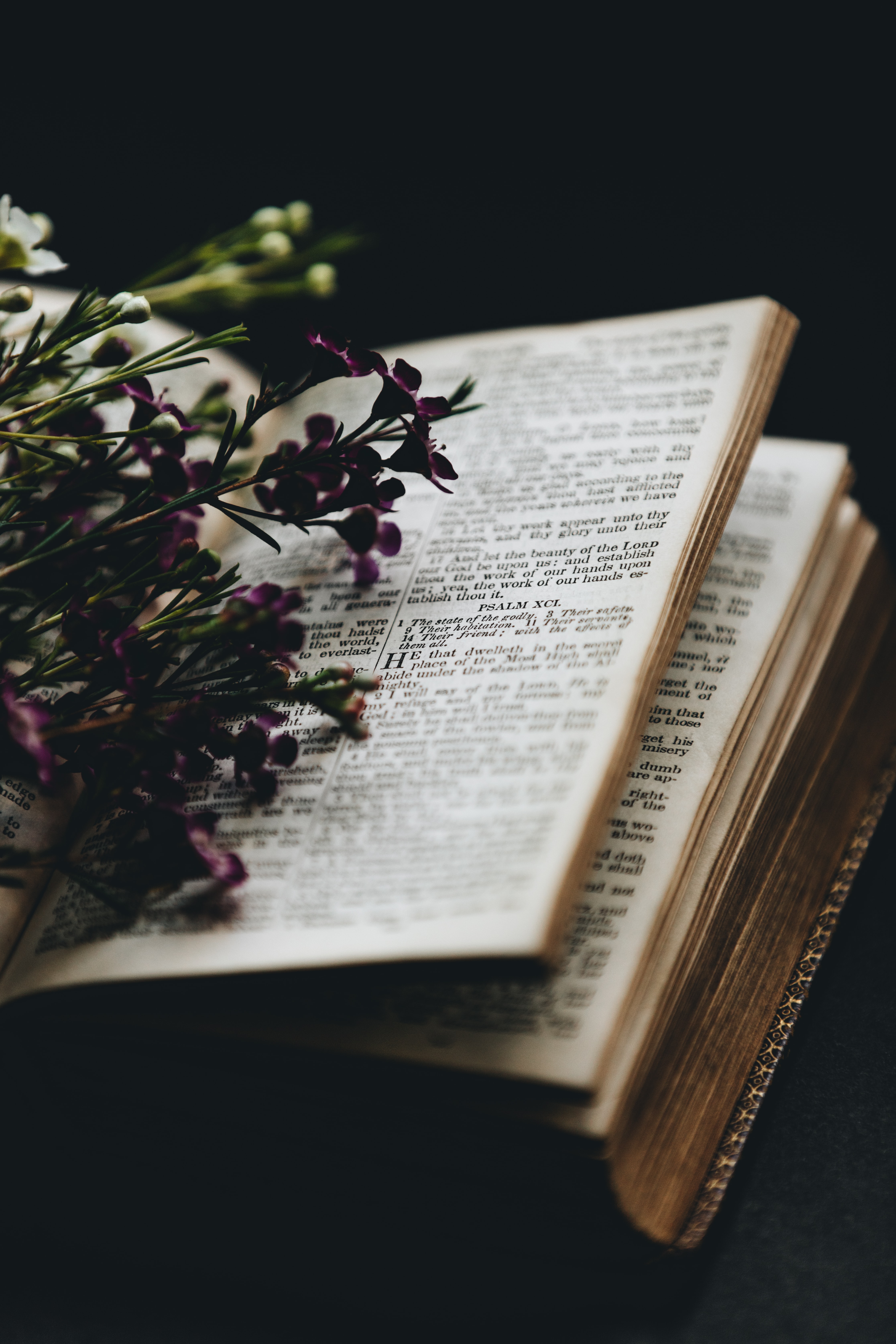 Reseña del libro Corte de rosas y espinas Reseña del libro Corte de rosas y espinas