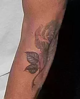 Todos los tatuajes de Harry Styles, explicados