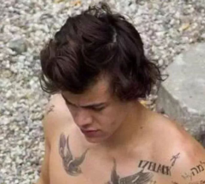 Todos los tatuajes de Harry Styles, explicados