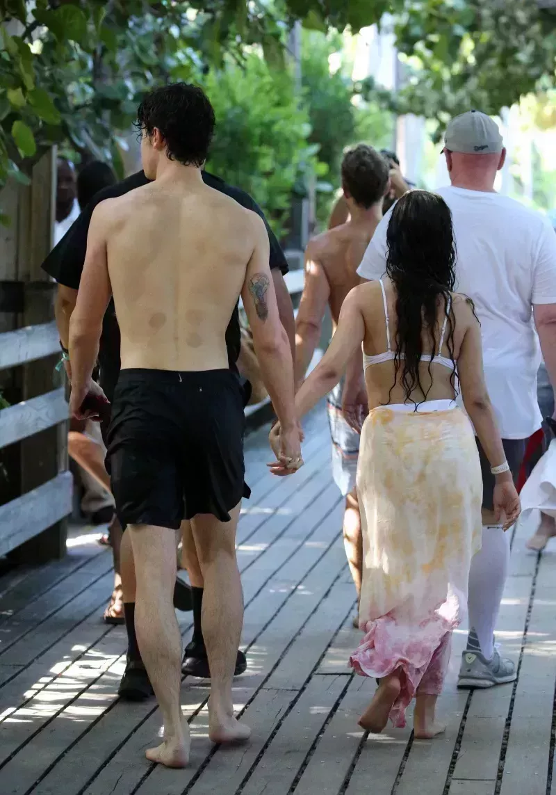 ¿De vuelta? Shawn Mendes y Camila Cabello compiten en la línea de tiempo de relación