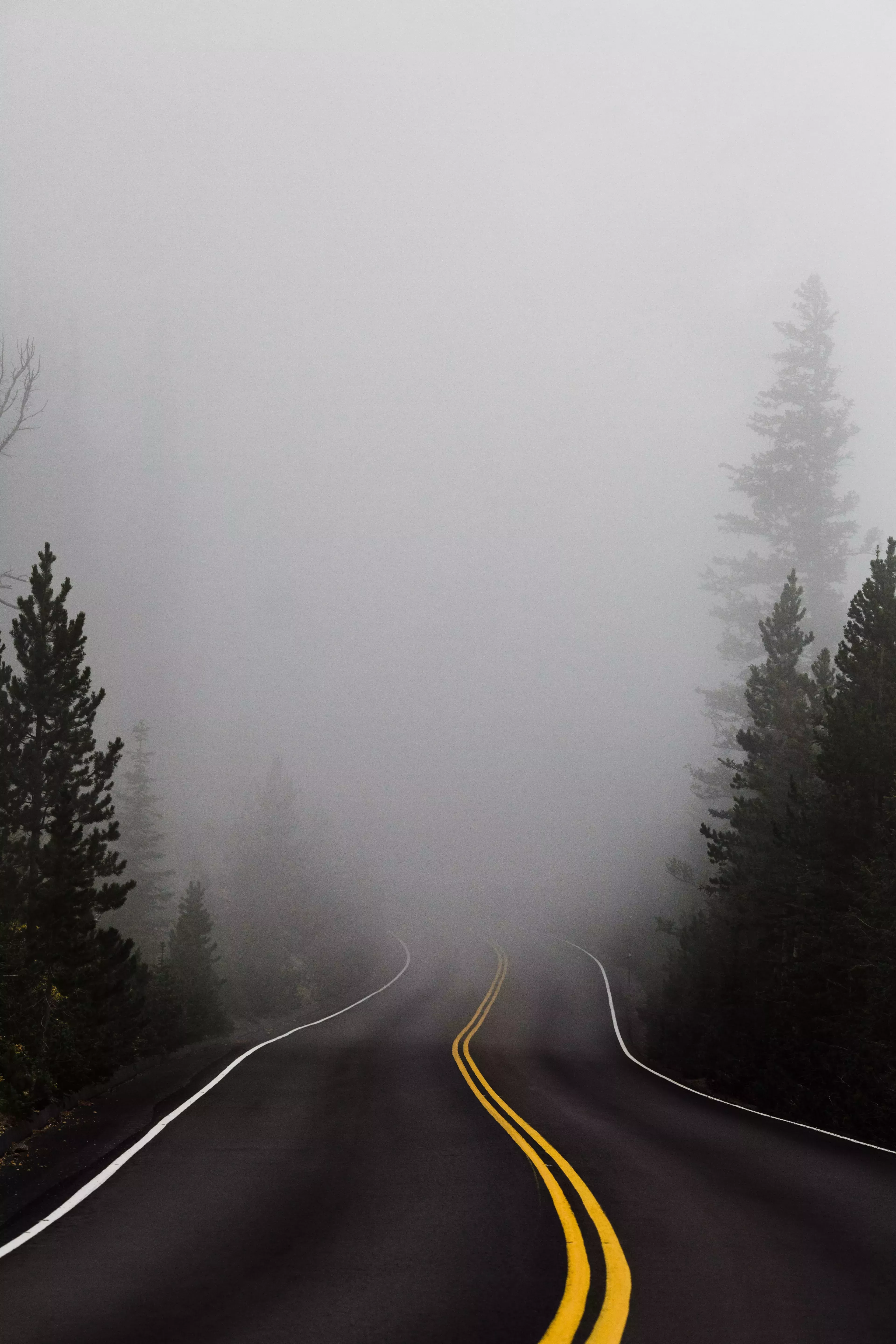 Reseña del libro: La carretera