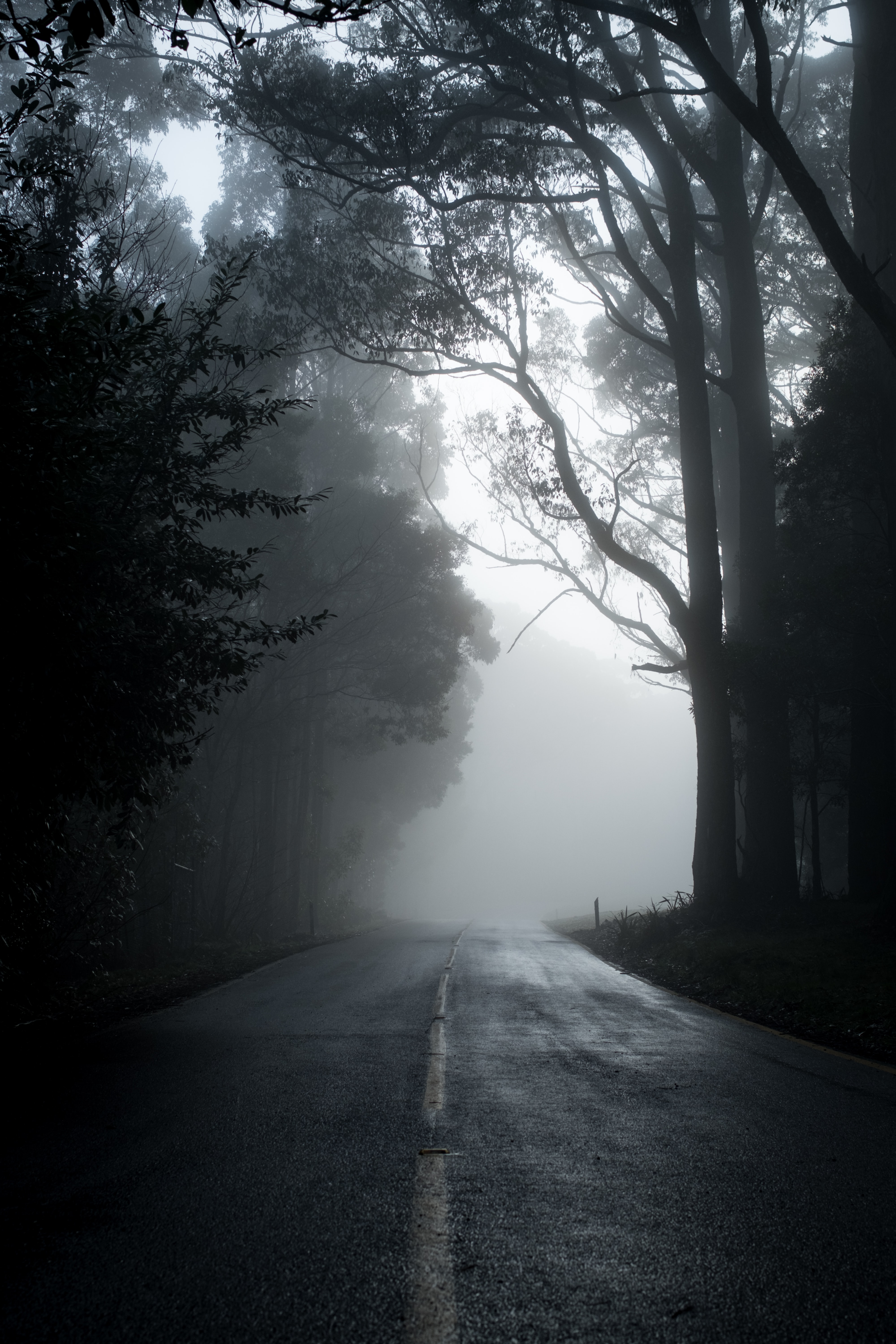 Sátira del cine de terror. 