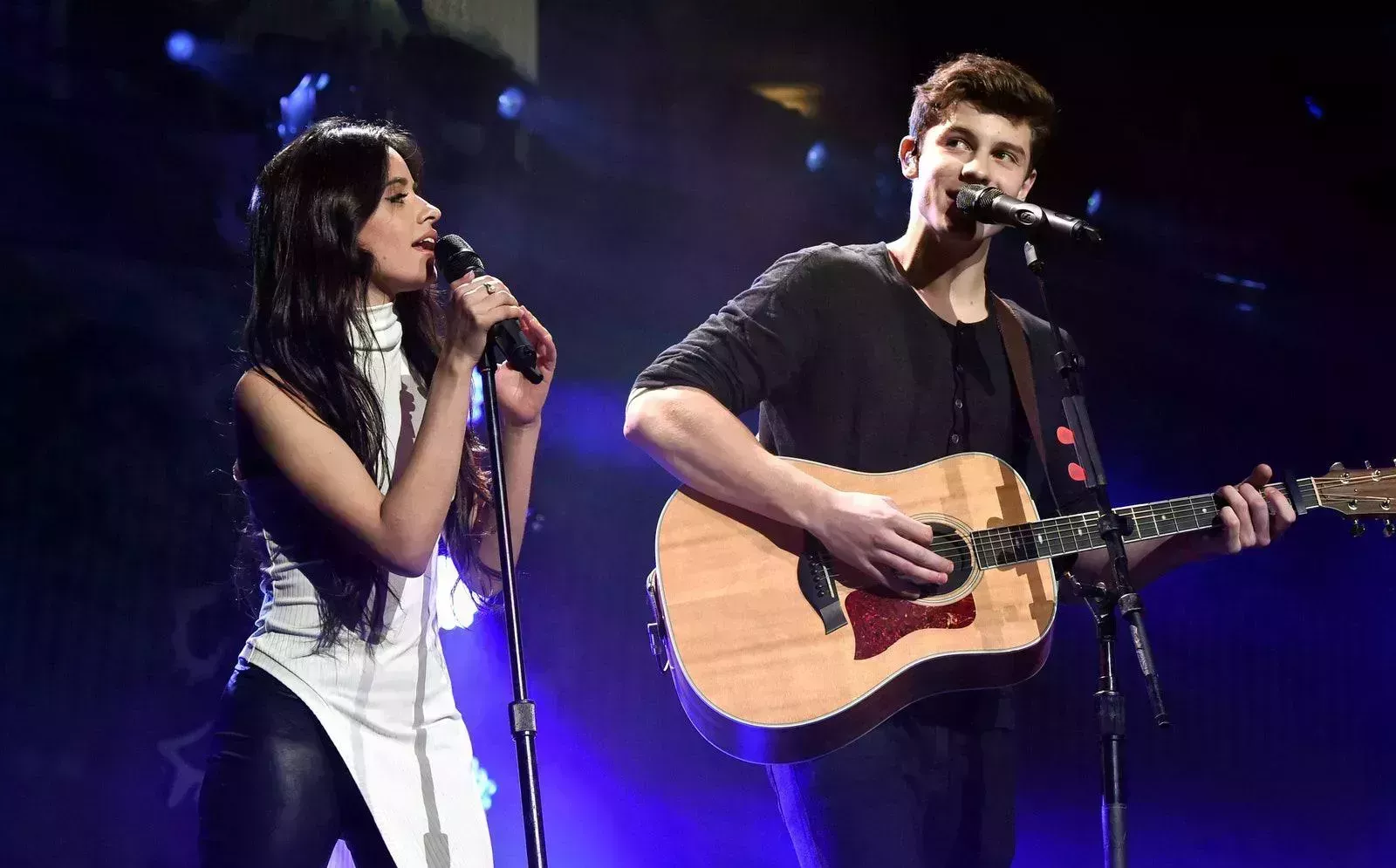 Shawn Mendes y Camila Cabello están 