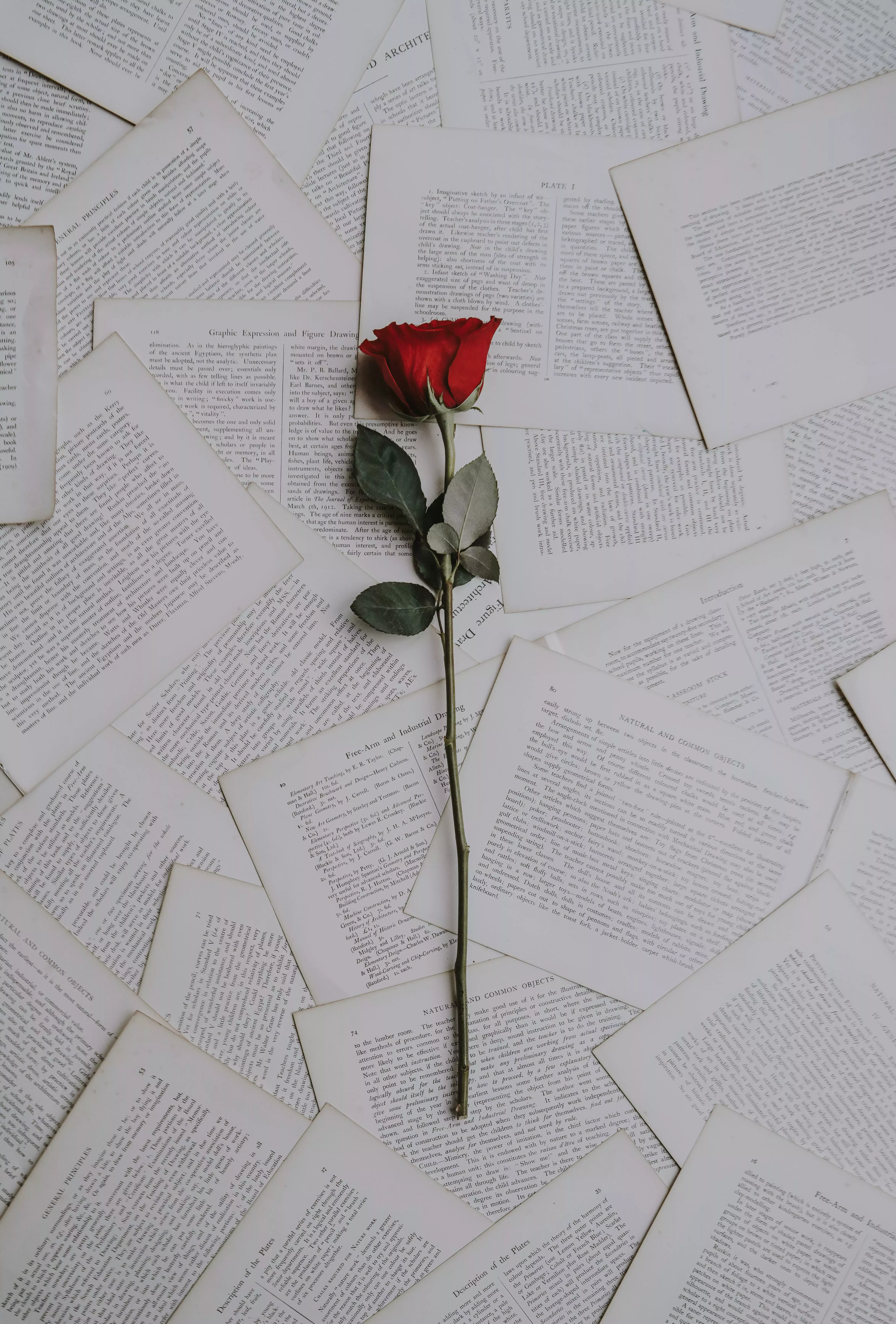 El amor no se puede envolver