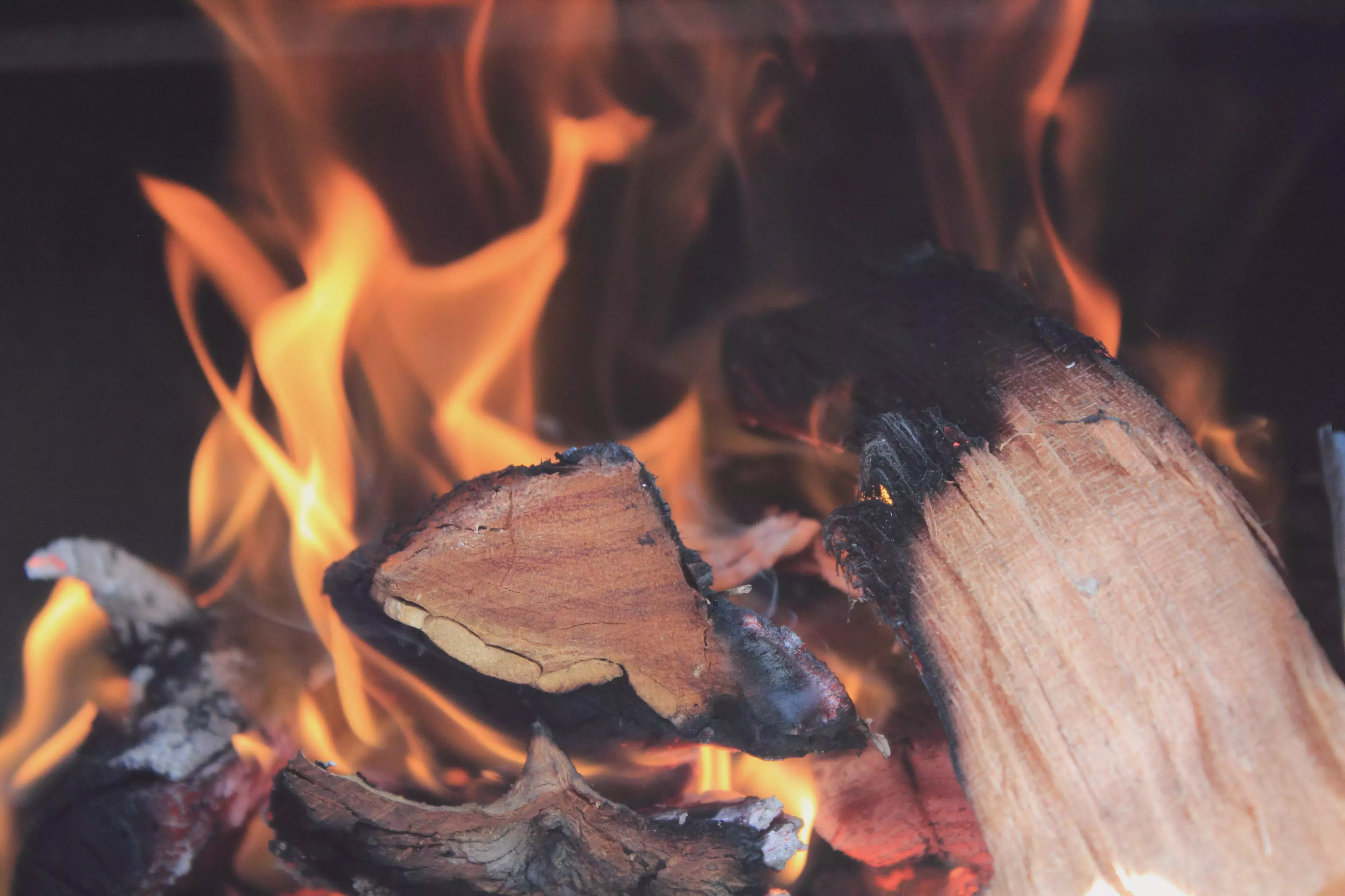 La importancia del pensamiento y las emociones - Reseña del libro Fahrenheit 451