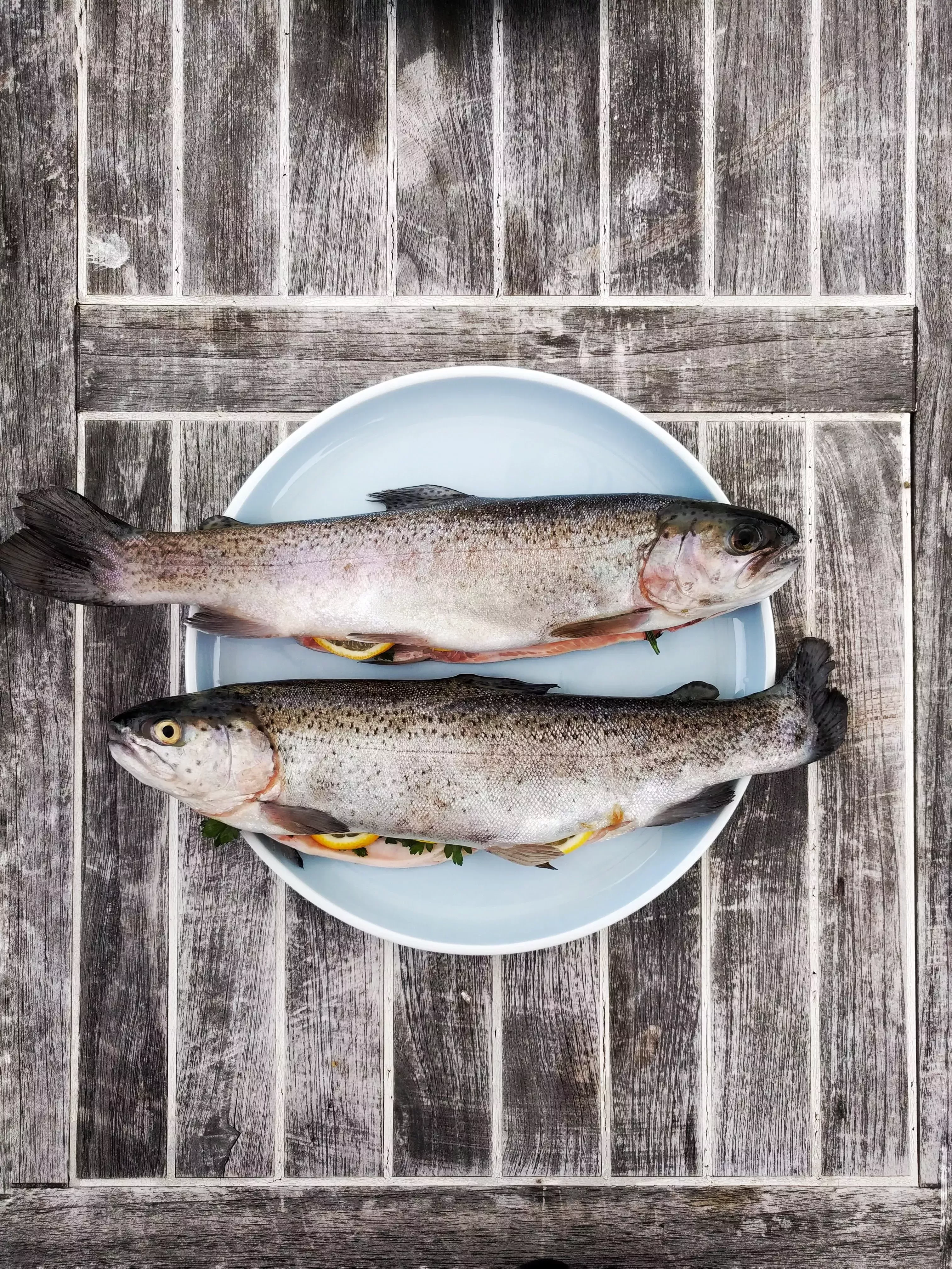 De las profundidades al plato: Explorando el bacalao por Mark Kurlansky