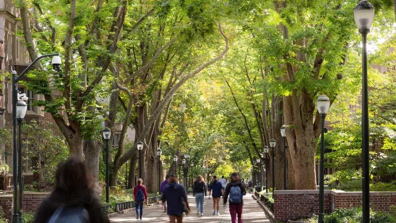 Cómo pueden los estudiantes recuperar el poder de sus universidades