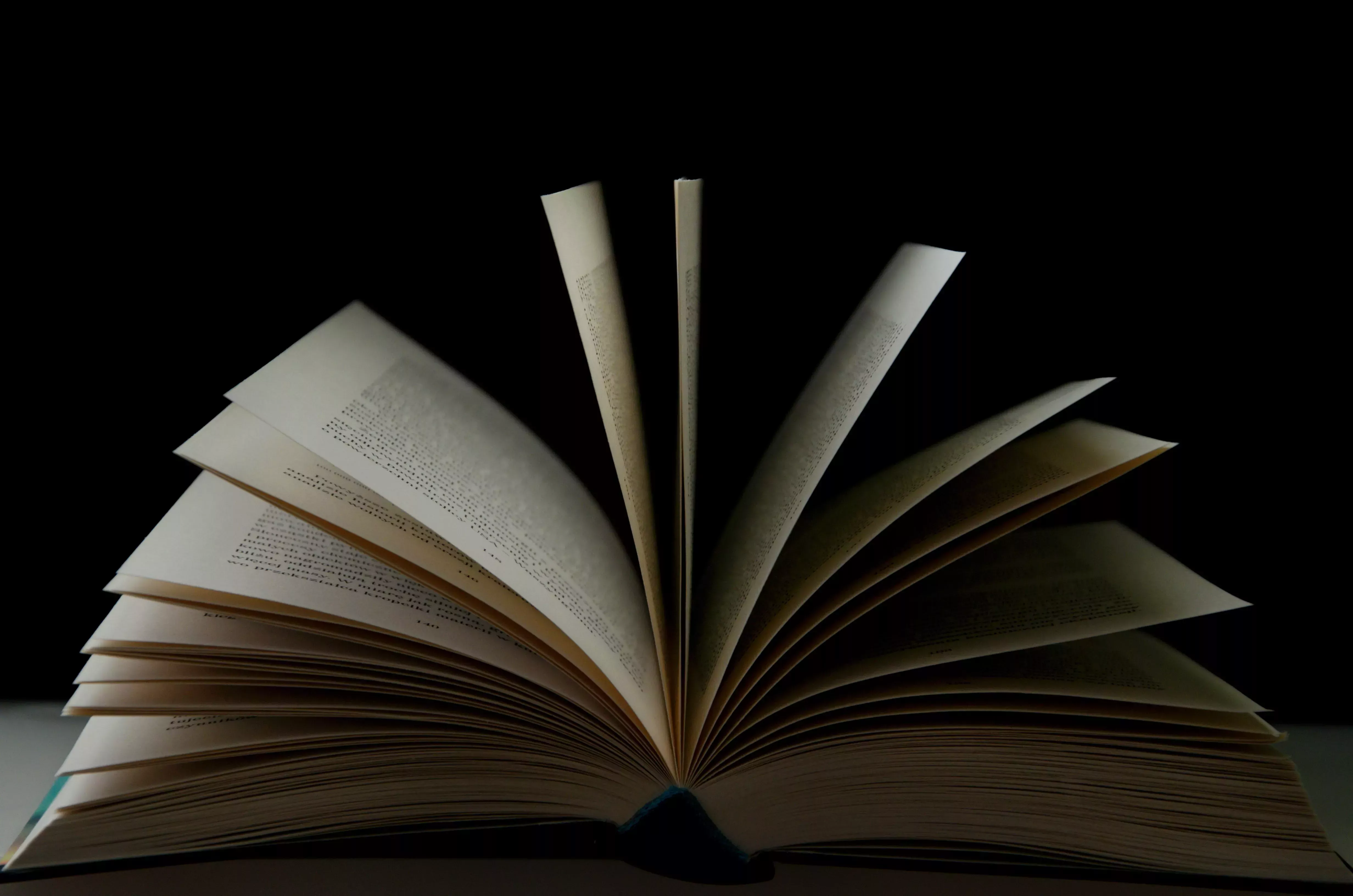 La página de libros donde yace la esperanza - La ladrona de libros Reseña literaria