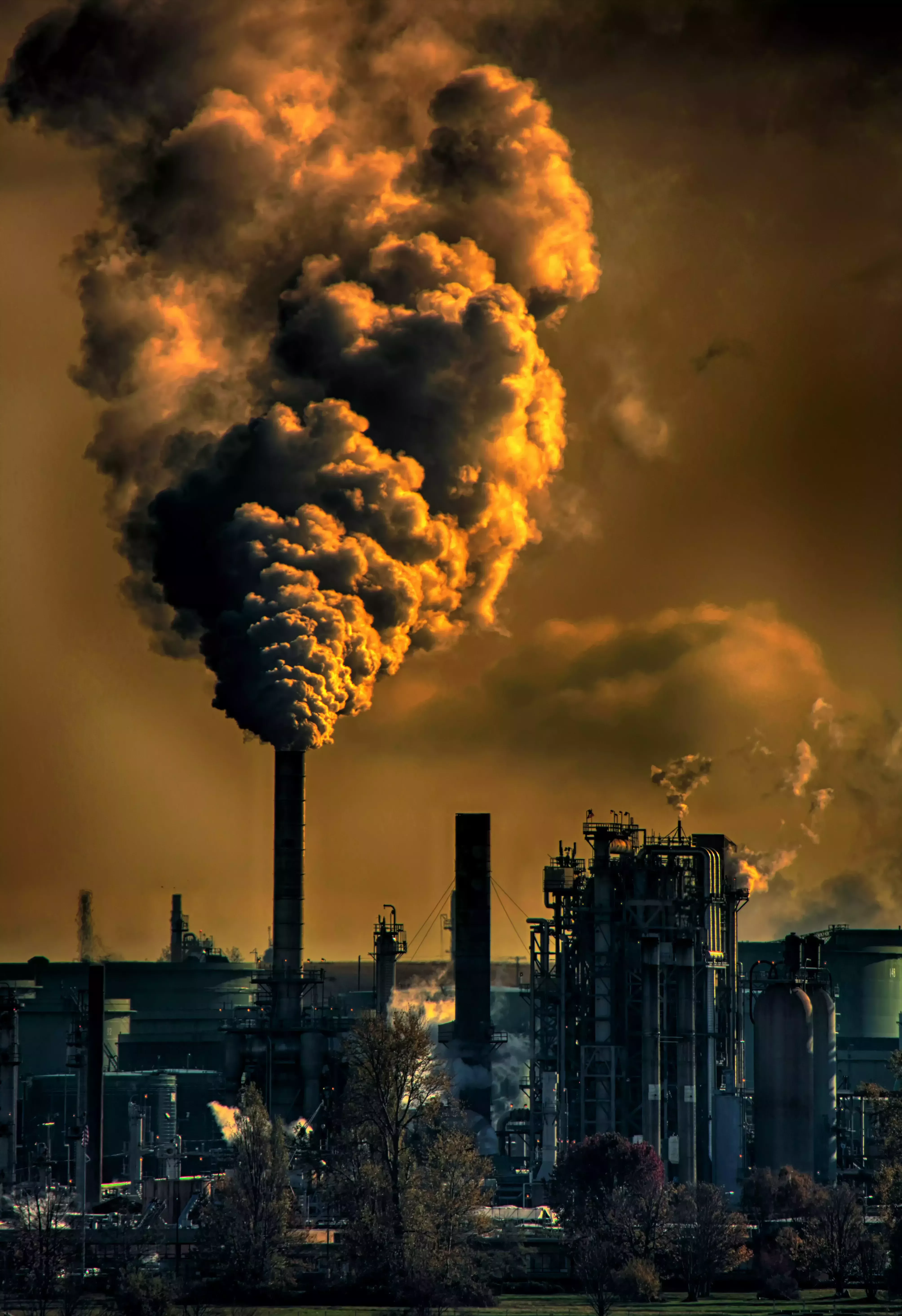 Por qué tenemos que hacer algo contra el cambio climático