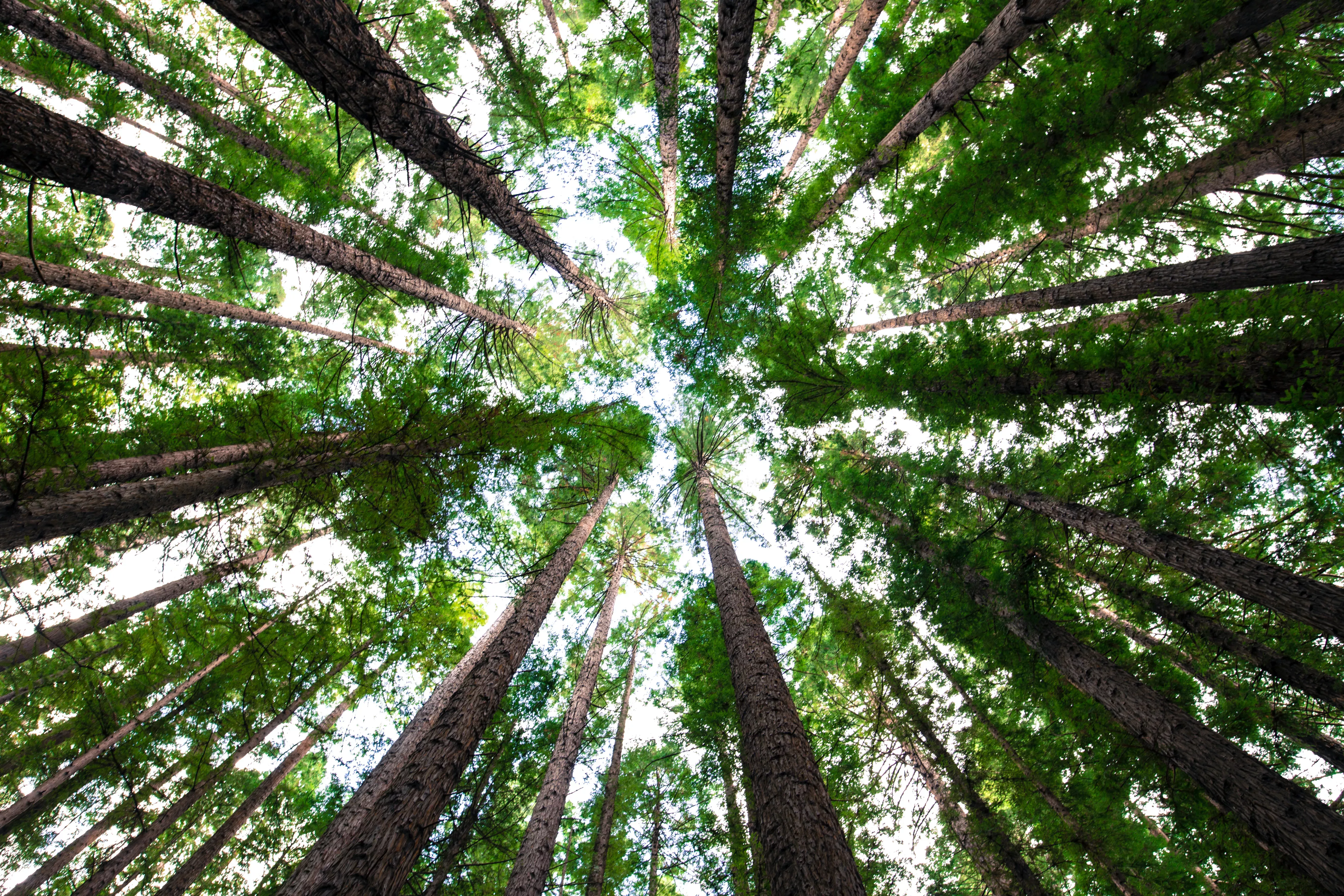 Cambio climático: qué podemos hacer hoy 