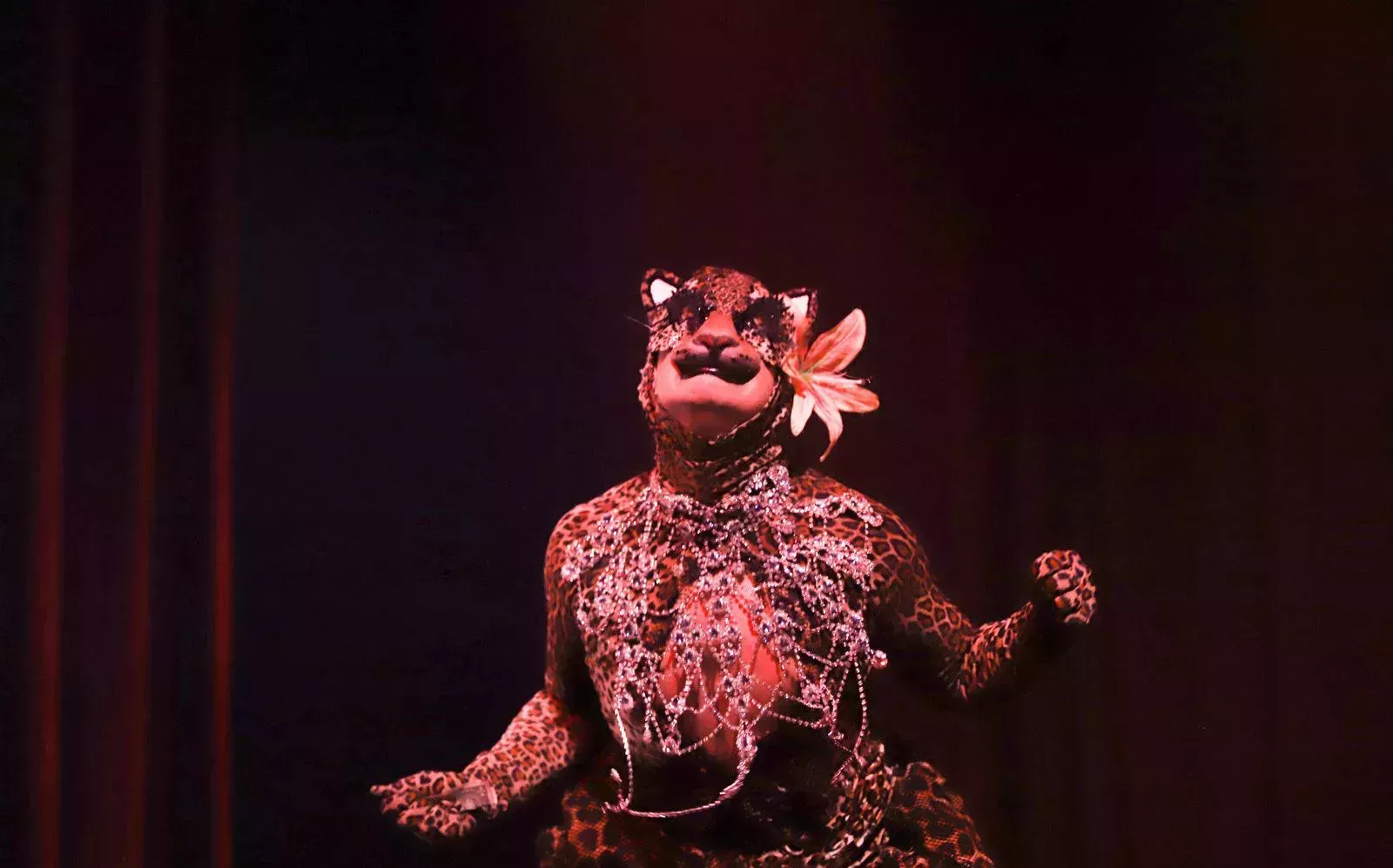 Cómo las drag queen latinas de Brooklyn encuentran la libertad a través de su cultura